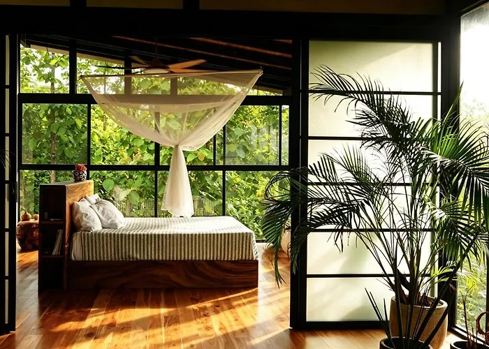 Architect Jungle Retreat 25m Lap Pool Santa Cruz (Guanacaste)