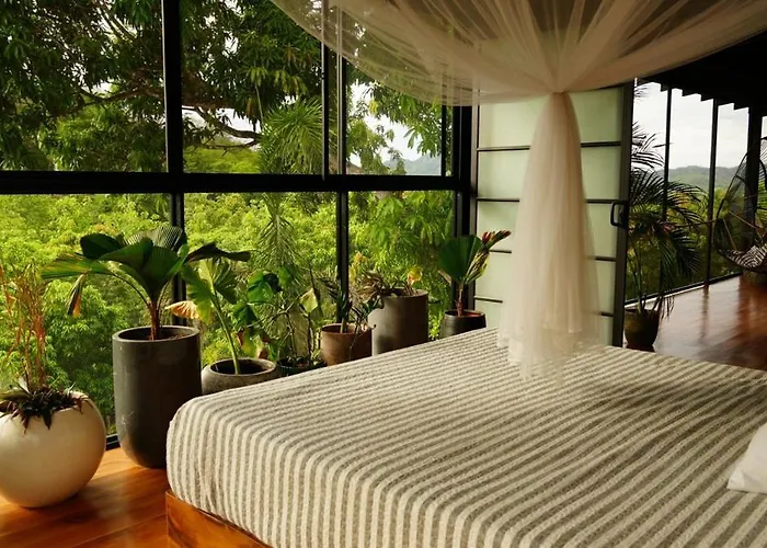 Architect Jungle Retreat 25m Lap Pool Santa Cruz (Guanacaste)